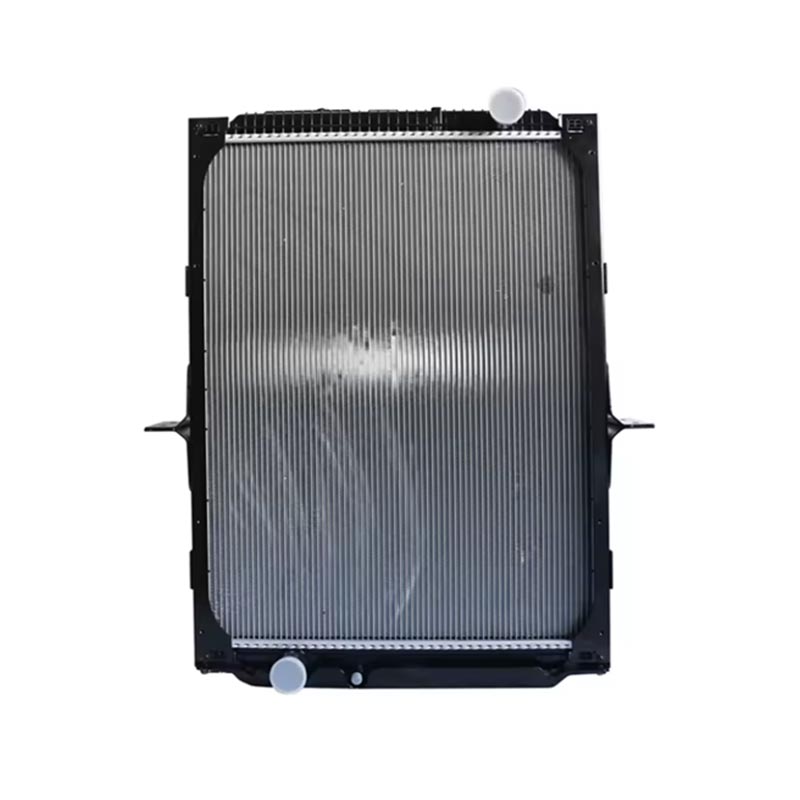 Motor Accessory Radiator DZ91125328